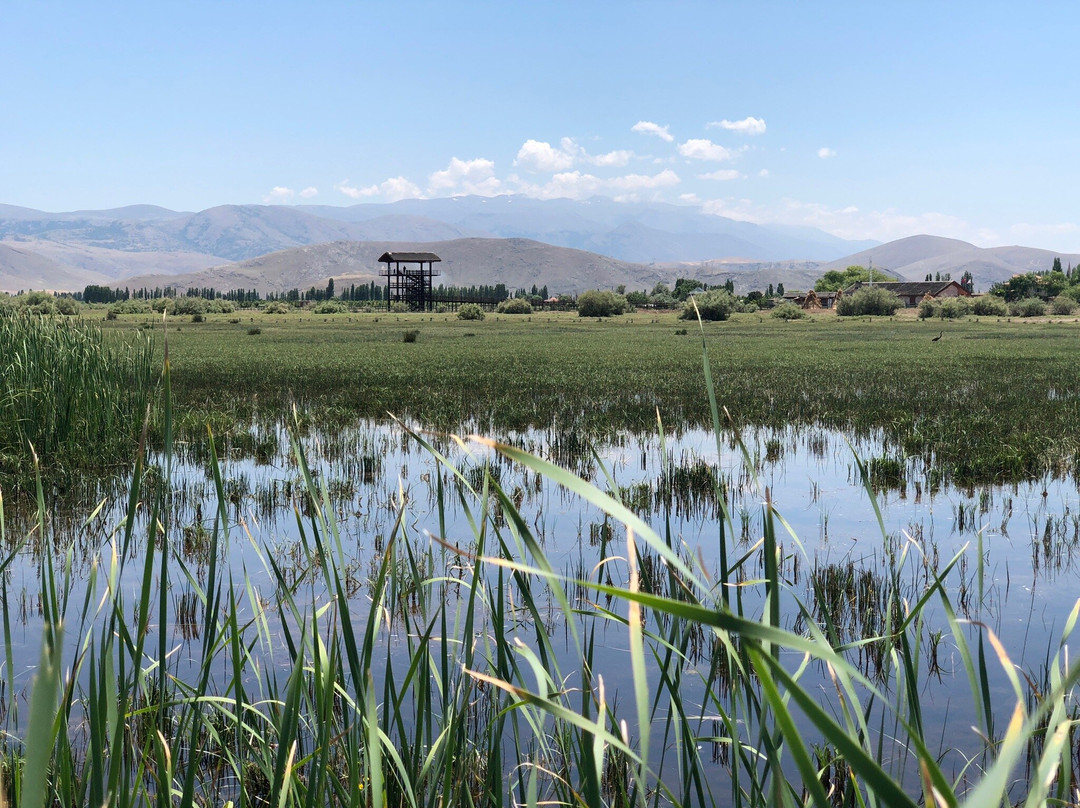 Sultan Sazlığı Bird Sanctuary景点图片