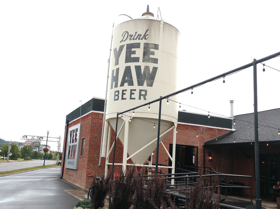 Yee Haw Brewing Co.-约翰逊城必去景点