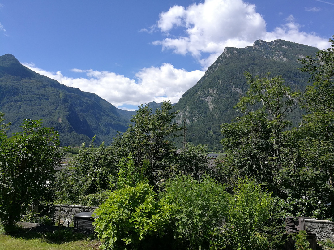 Sankt Koloman旅游景点-Museum Burg Golling