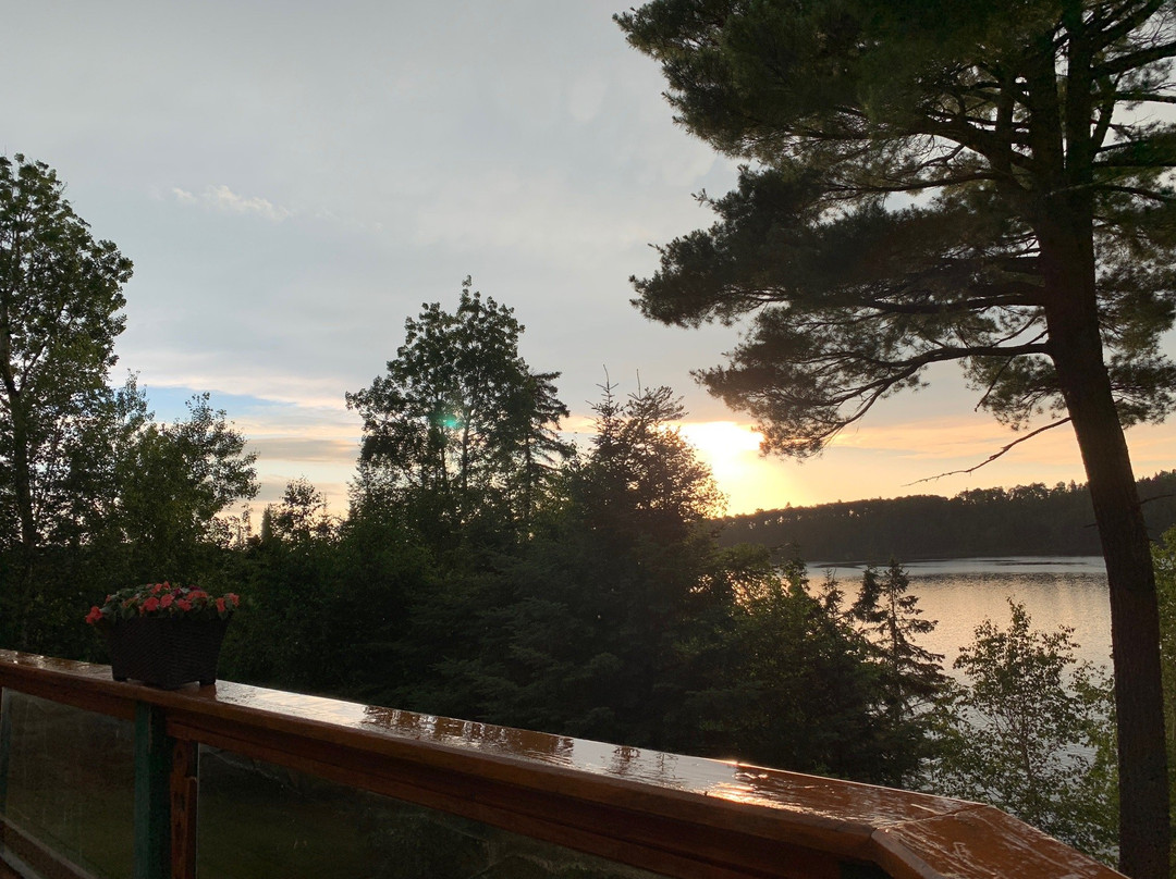 Log Cabin Inn Bed & Breakfast主图