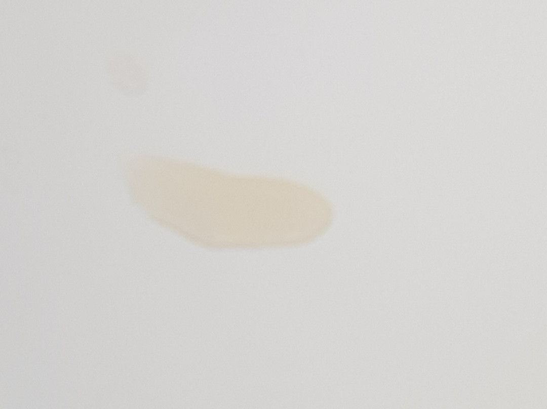 陶波海湾主图