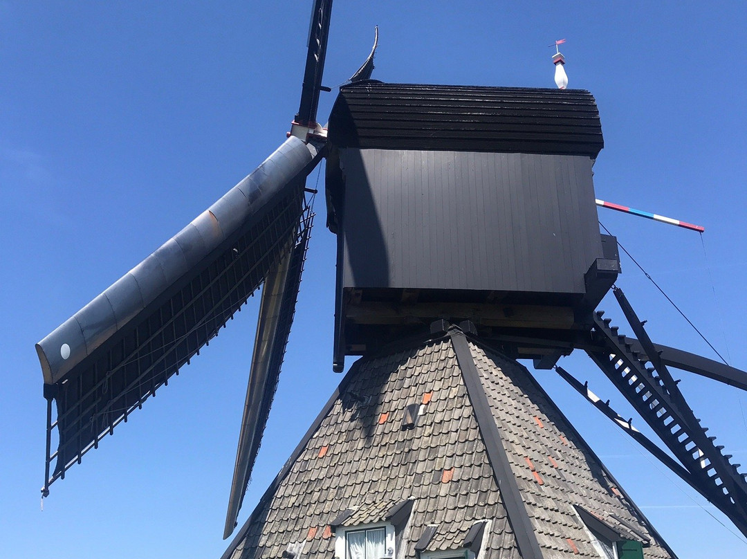 Museum Molen Blokweer景点图片
