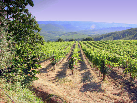 Talixo Tuscany-佛罗伦萨必去景点