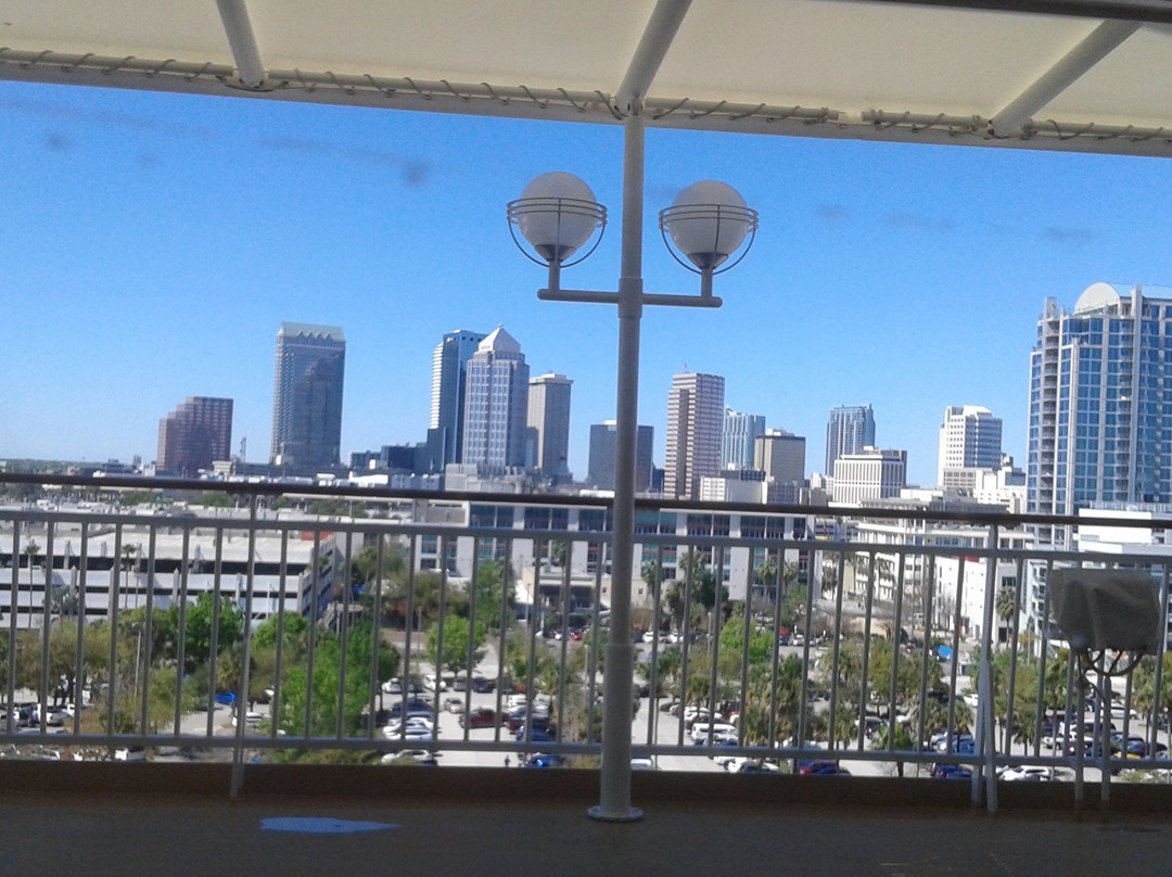 Port Tampa Bay-坦帕必去景点