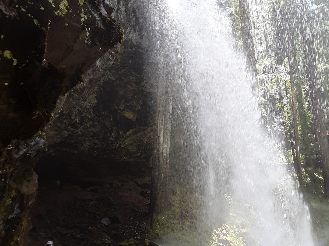 Grotto Falls景点图片