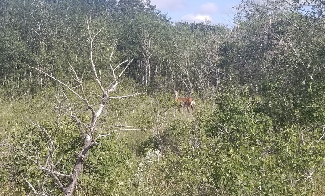 Douglas Provincial Park-Elbow必去景点