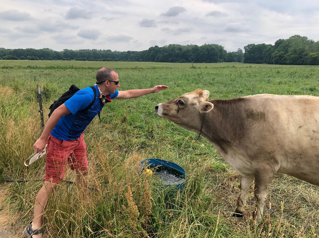 Traders Point Creamery-Zionsville必去景点