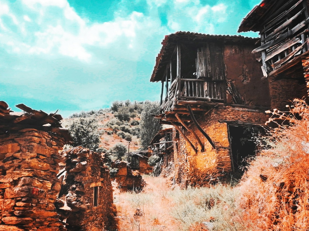 Lubbey Koyu景点图片