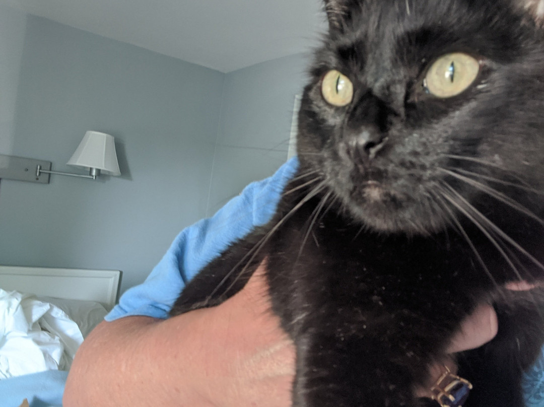 The Cape Porpoise Motel主图