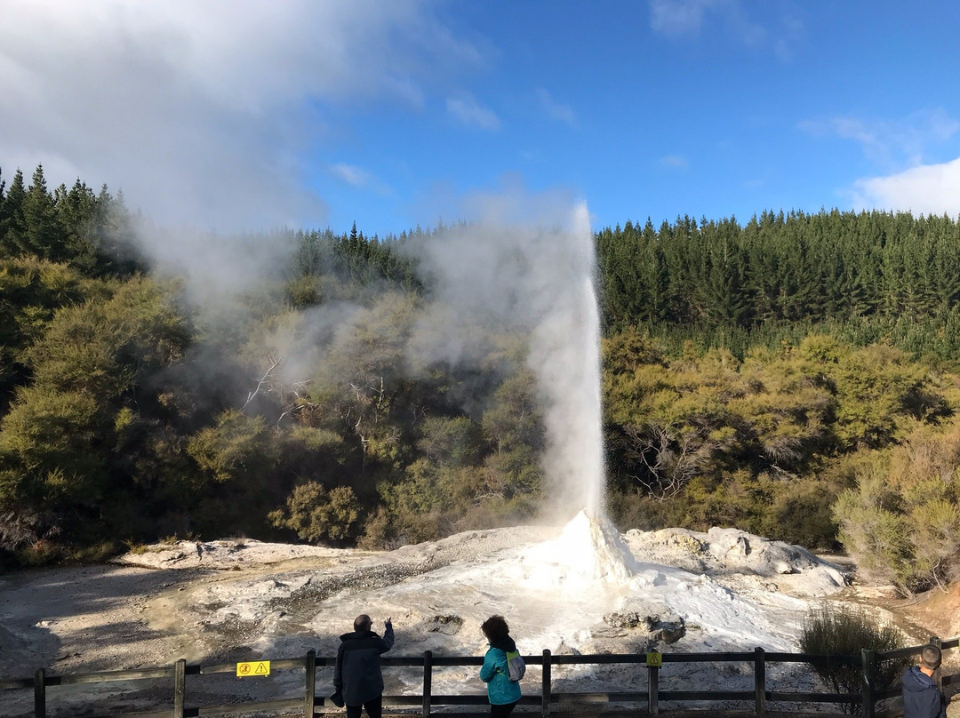 Te Whare Taonga O Waikato Museum & Gallery-汉密尔顿必去景点