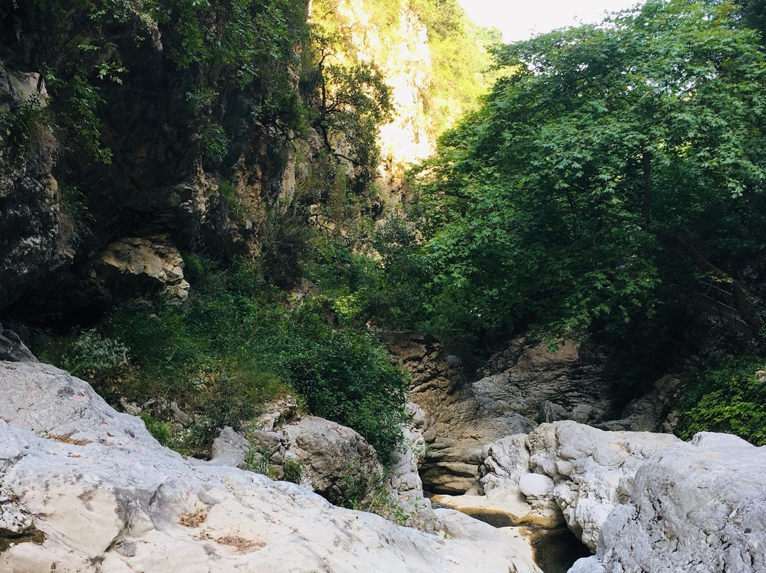 Vassiliki Bay Hotel主图