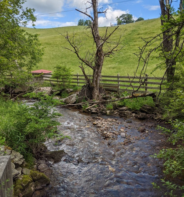 Creeper Trail Bike Rental-Damascus必去景点