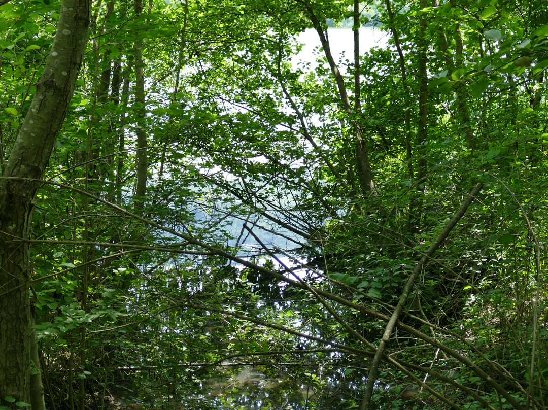 Promenade Confort : Sentier du Lac et Randocroquis des Rives du Coisétan景点图片
