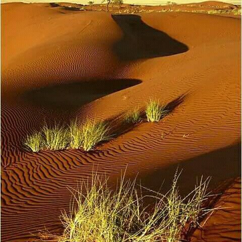 Namib Desert-苏丝斯黎必去景点