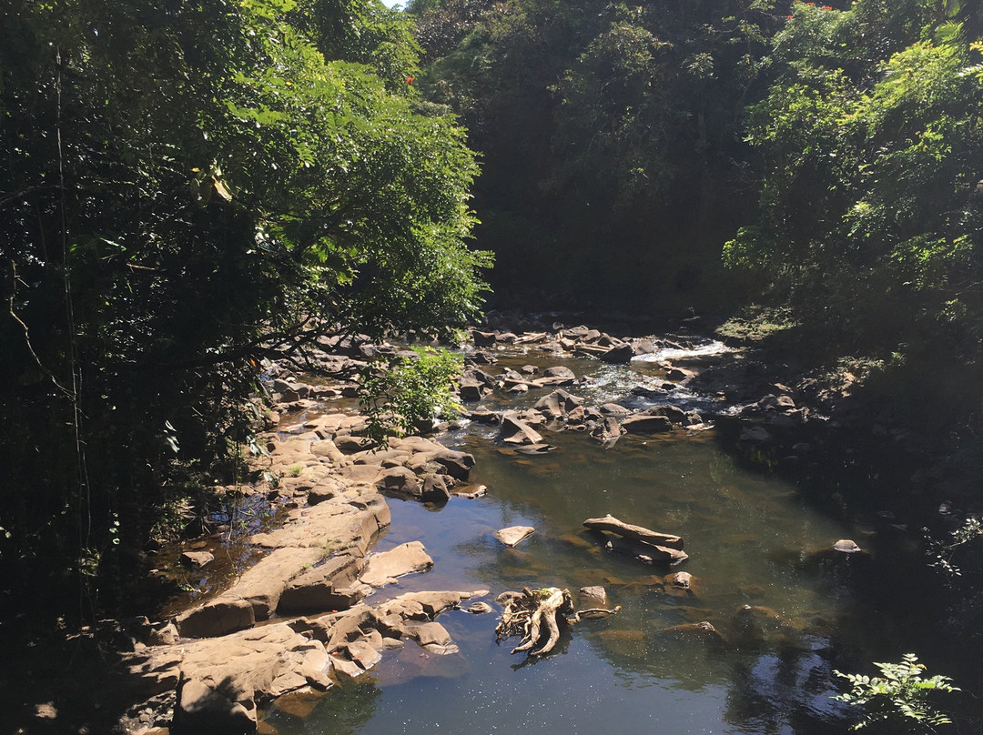 Pepeekeo Scenic Drive-希洛必去景点