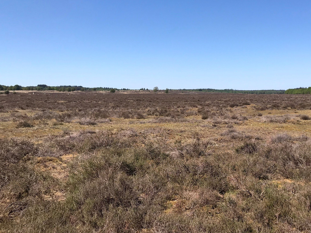 Veluwe Specialist Otterlo-奥特洛必去景点