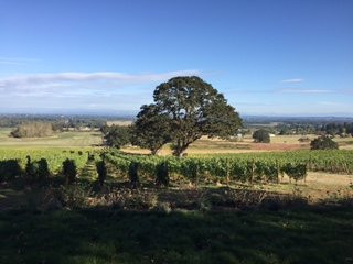 Oregon Vine2Wine Tours-尤金必去景点