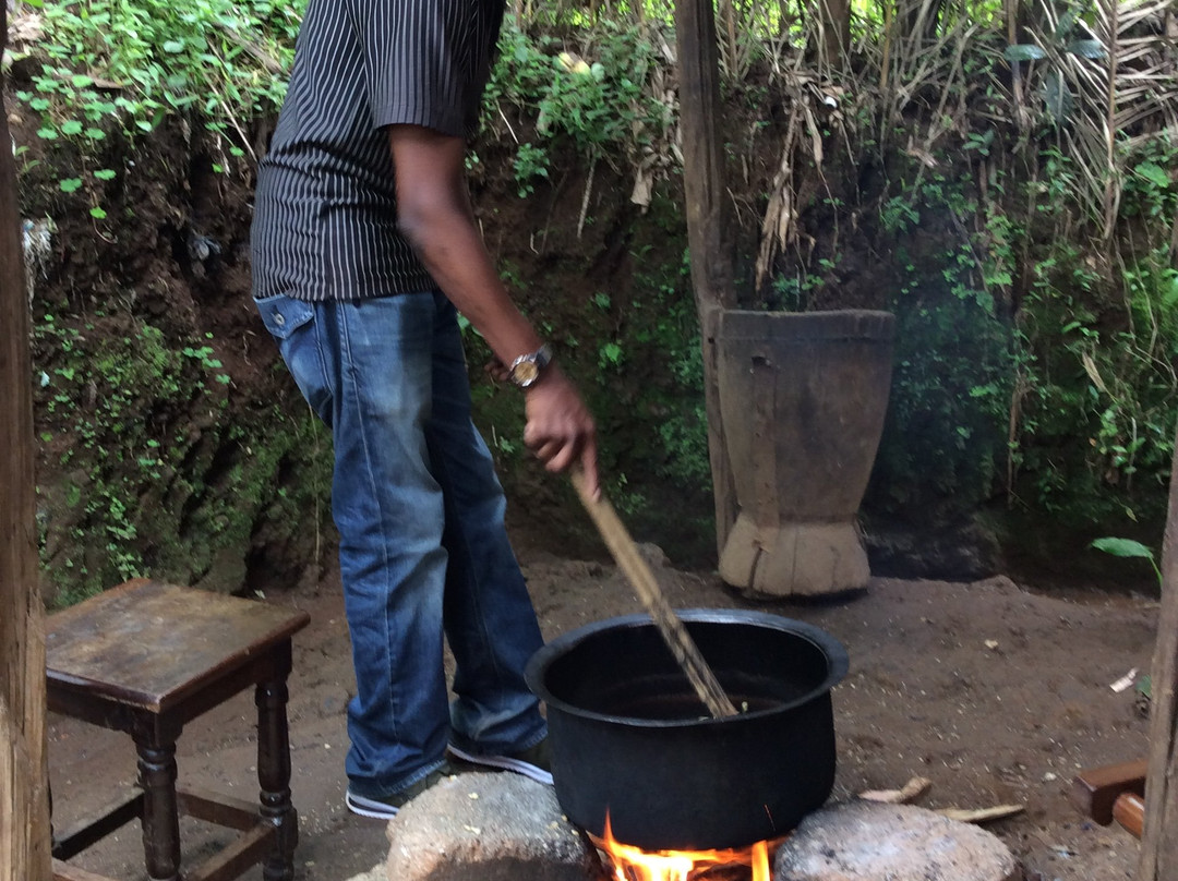 Materuni Waterfalls-Namro必去景点