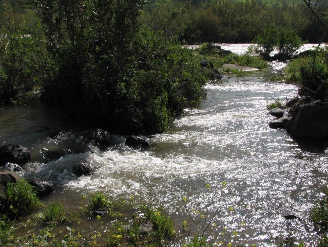 Jordan Park-Neot Golan必去景点