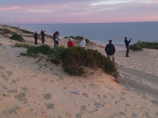 Discovering Andalucia Tours and Excursions