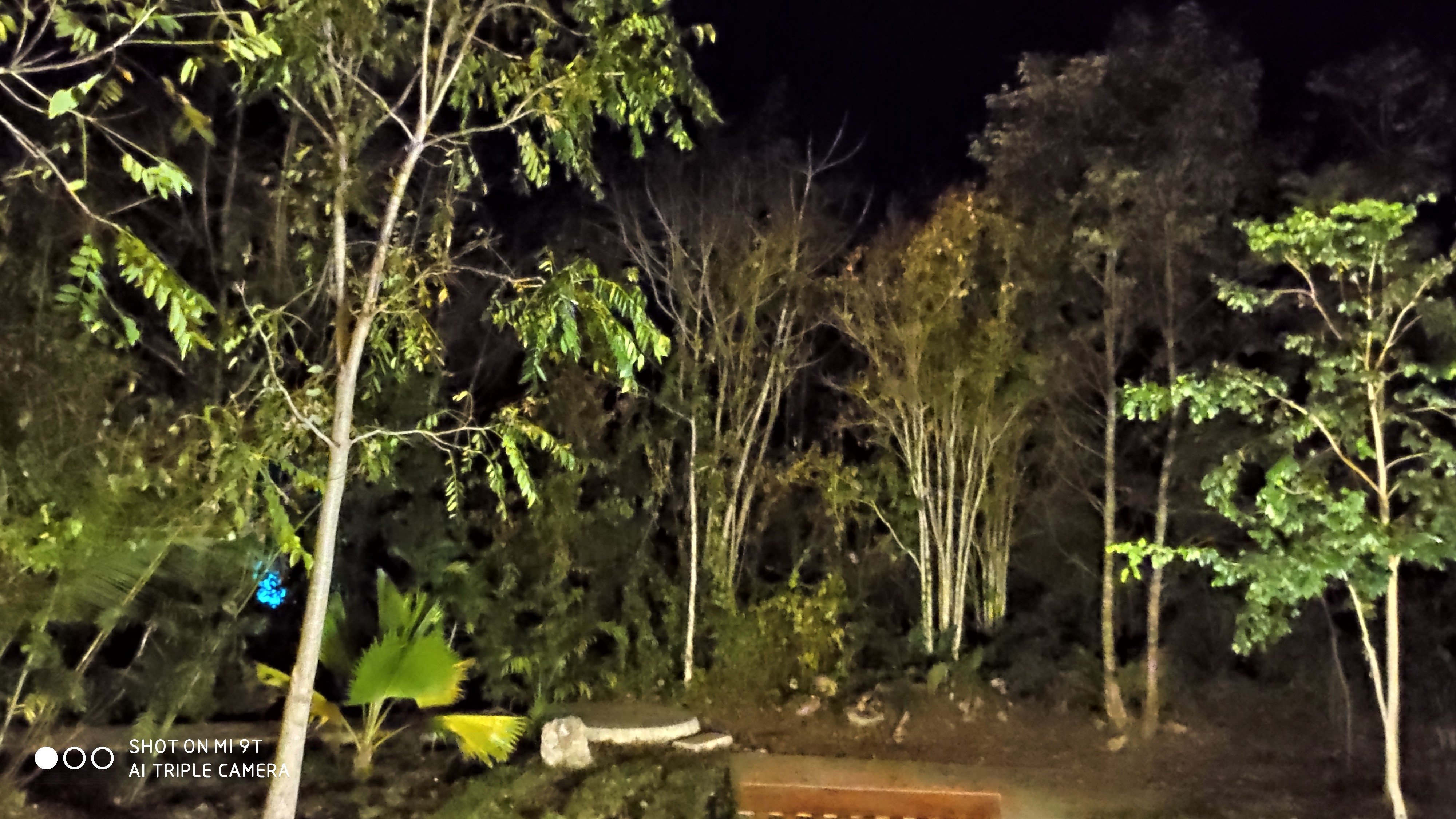 Hotel Casa Maya Calakmul-酒店景观
