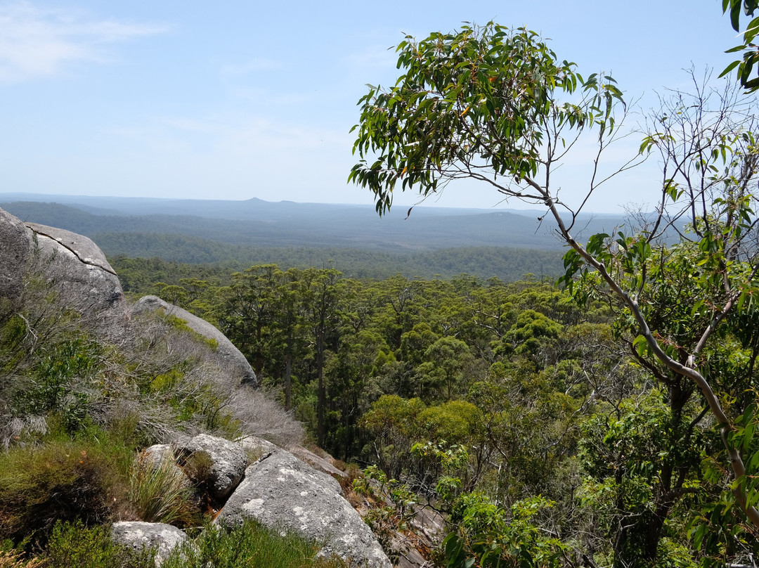 Mount Frankland National Park景点图片