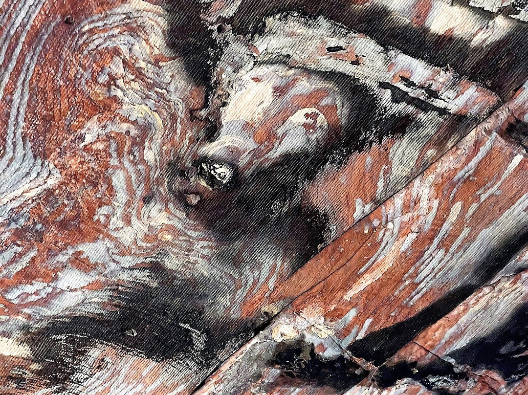 The Urn Tomb-佩特拉必去景点