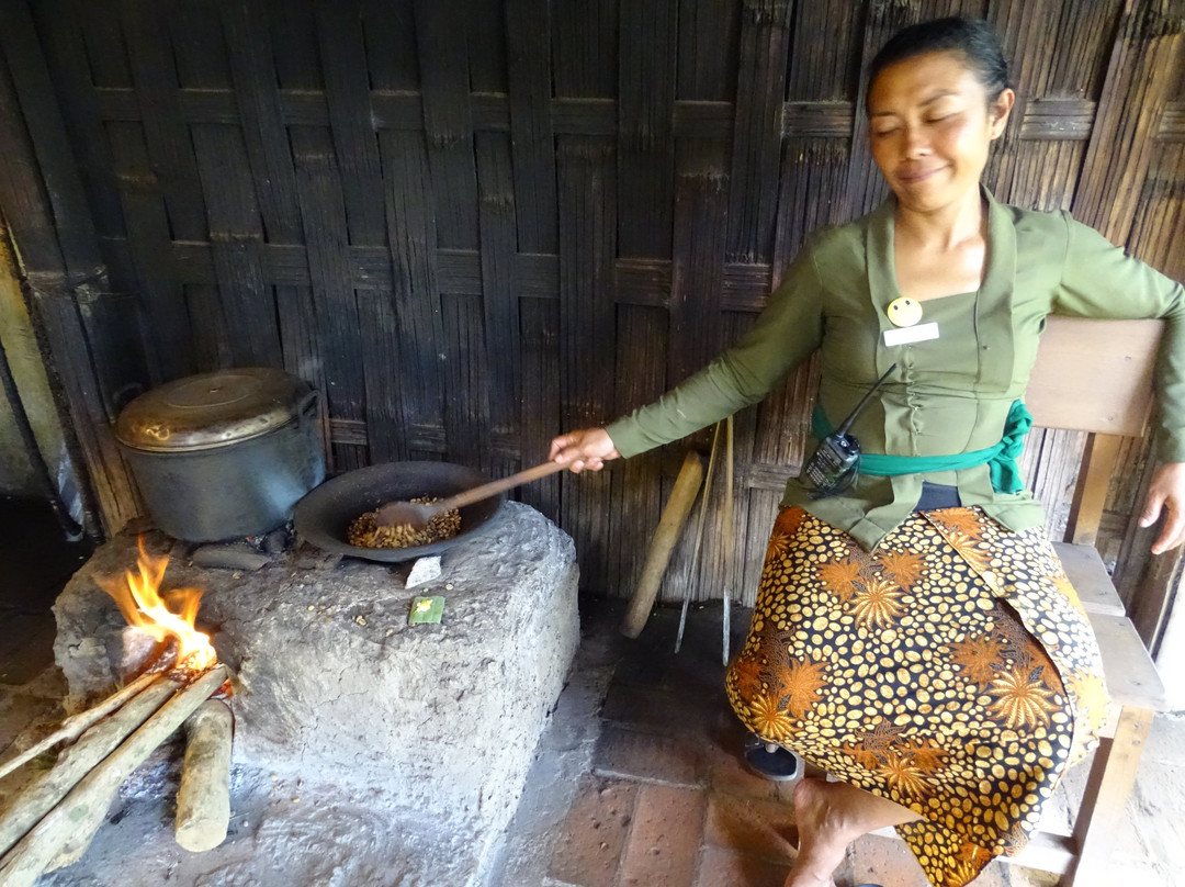 Terrace River Pool Swing-乌布必去景点