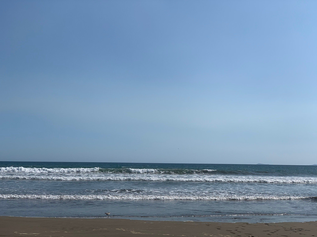 Playa Las Lajas景点图片