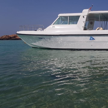 EagleRay Dimaniyat-Azaiba必去景点