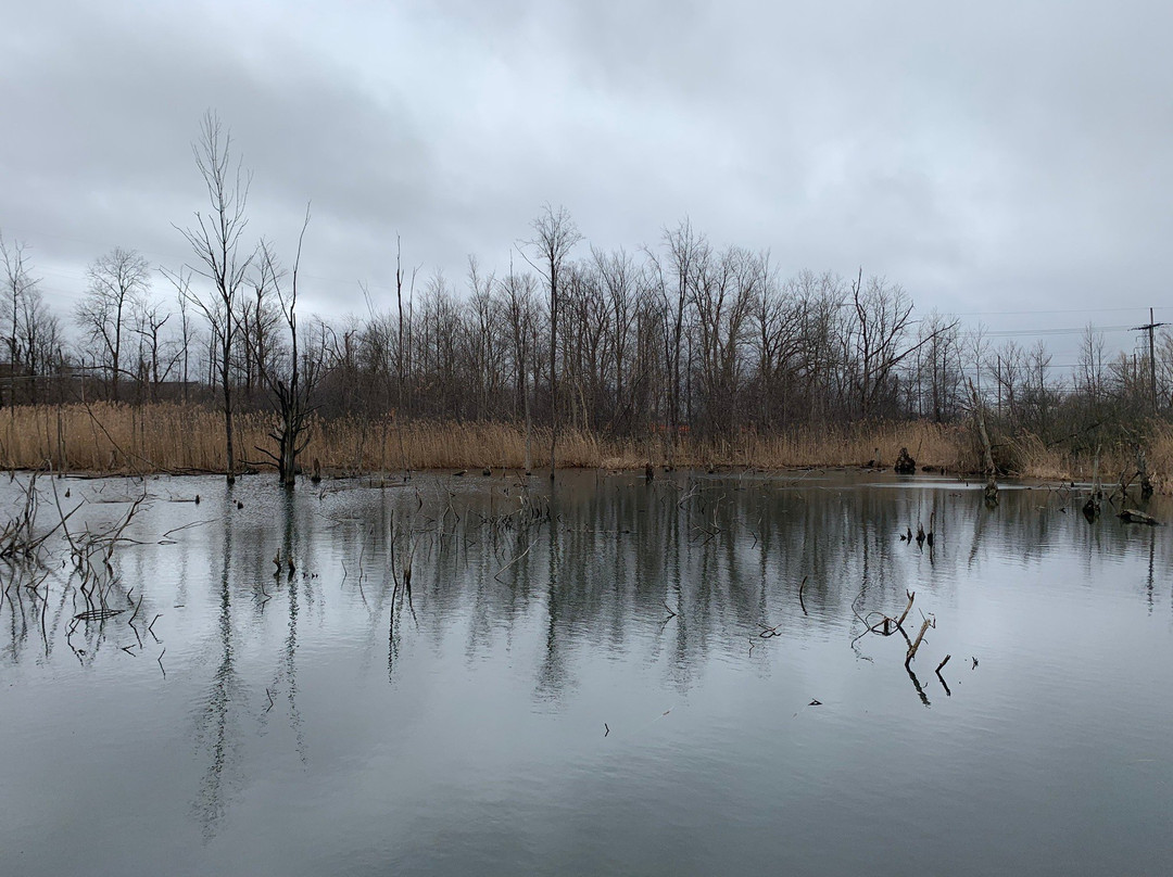 West Bloomfield Woods Nature Preserve And Nature Trail景点图片