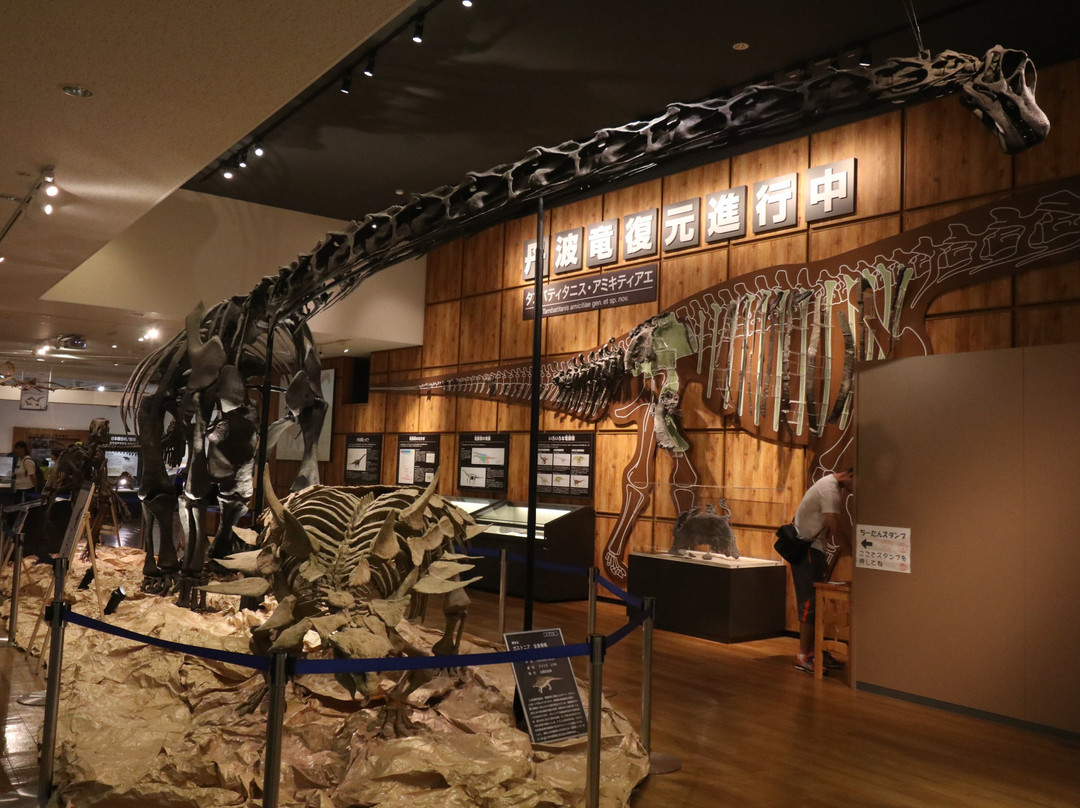 Tamba Dinosaurs Fossil Studio Chitan Museum-丹波市必去景点