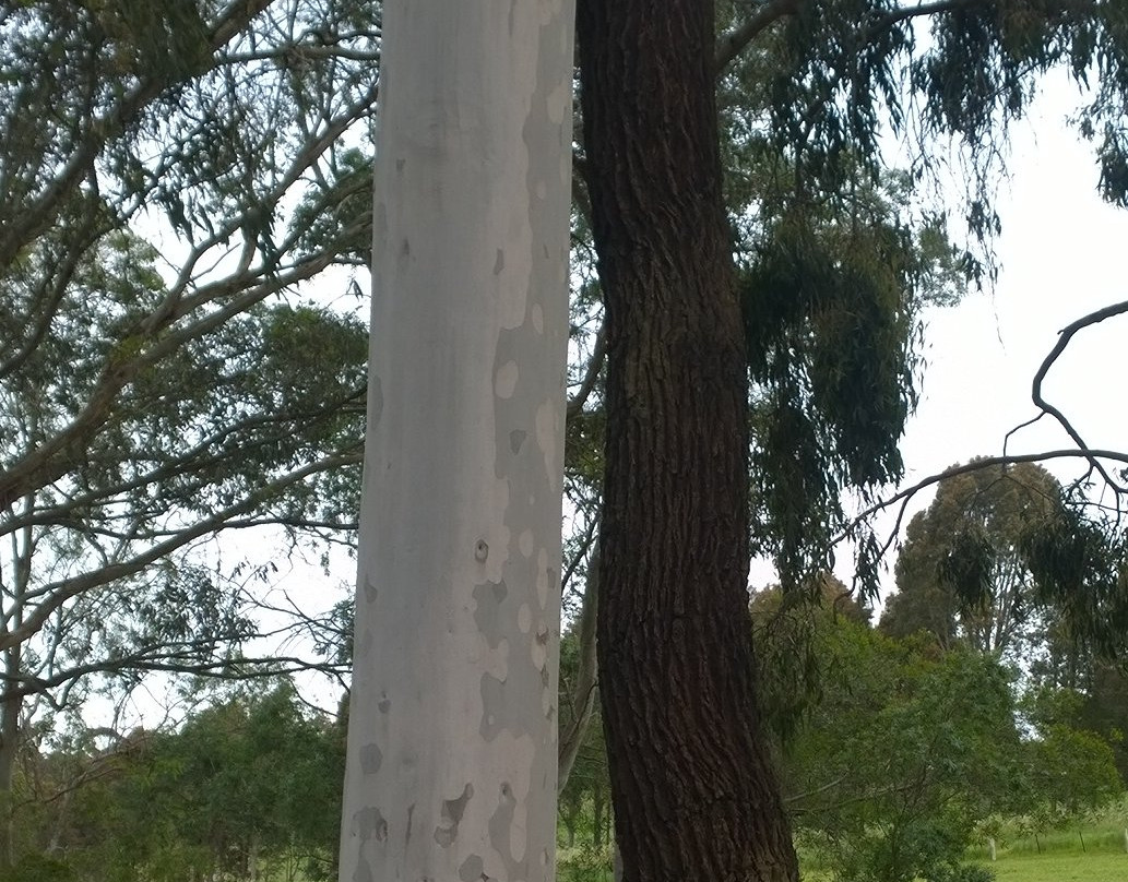 Peter Francis Points Arboretum-Coleraine必去景点