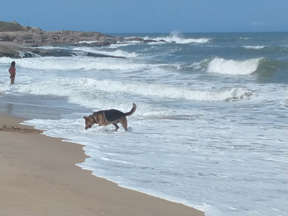 Playa de la Viuda-Punta del Diablo必去景点