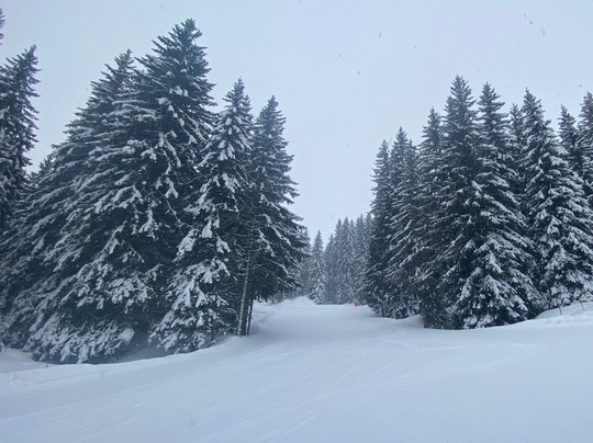 Ski Technique Ski School Megeve-梅杰夫必去景点