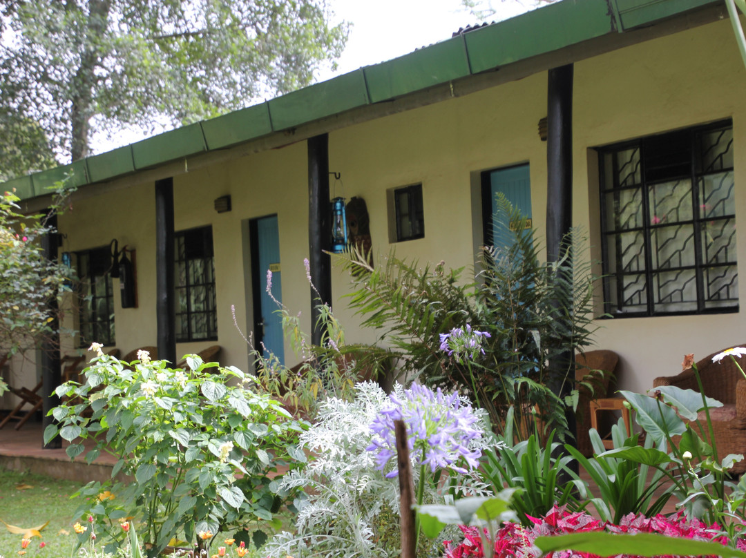 Traveler's Rest Hotel主图