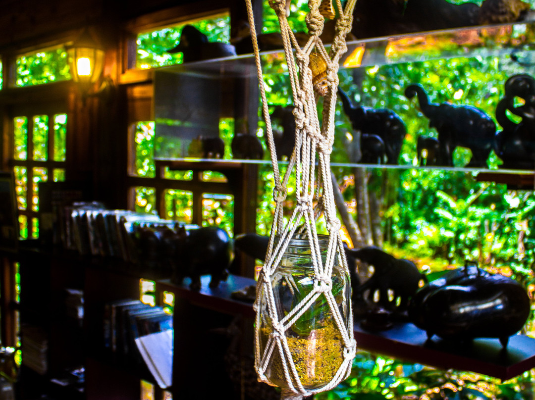 Woodland Gardens主图