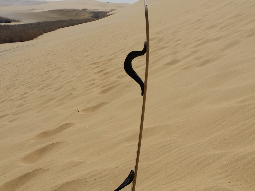 Fayoum Oasis-法尤姆必去景点