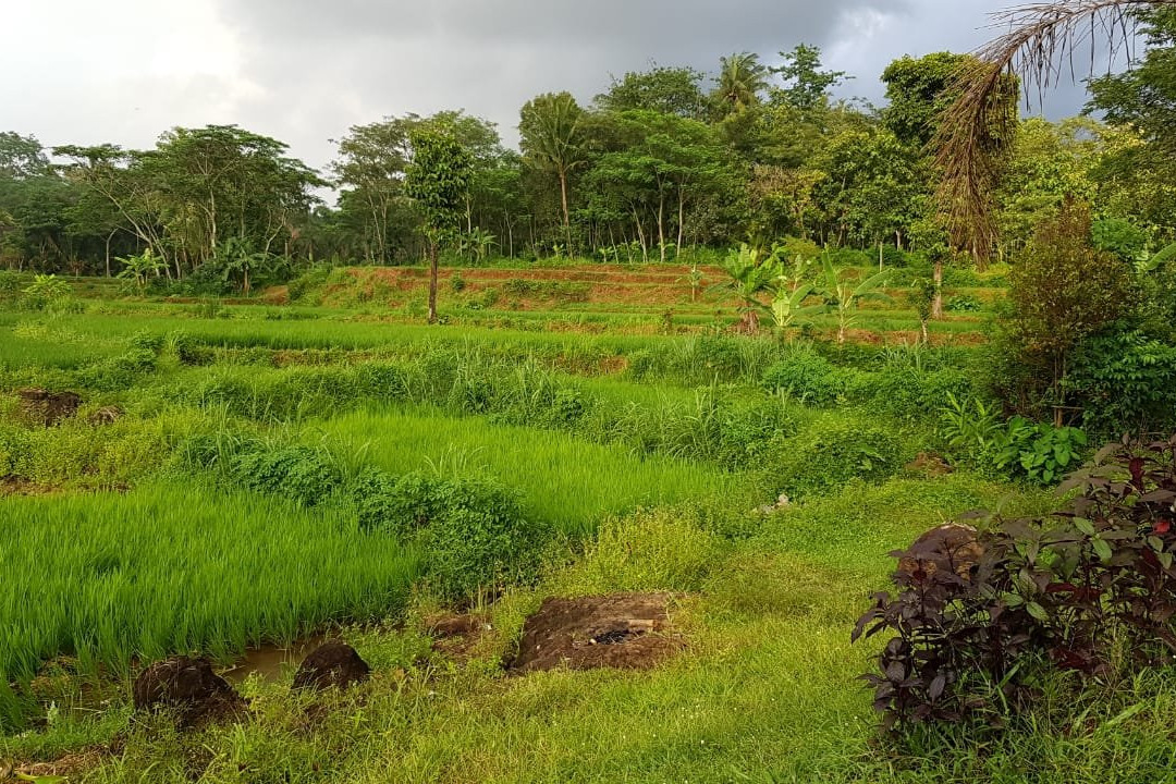 The Gecho Inn Country主图