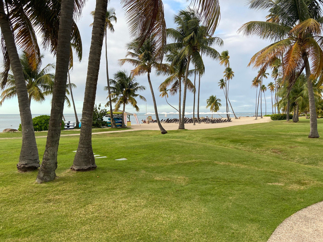 Coco Beach Golf Club景点图片