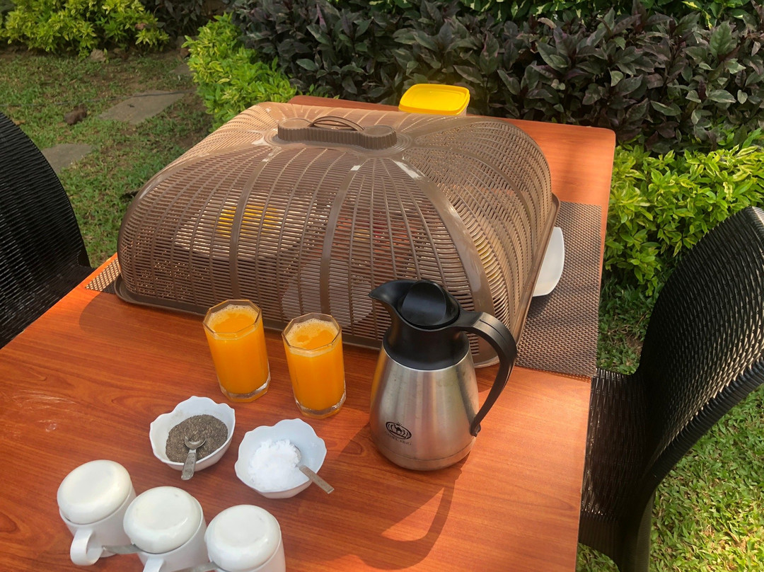 Camellia Dwelling主图