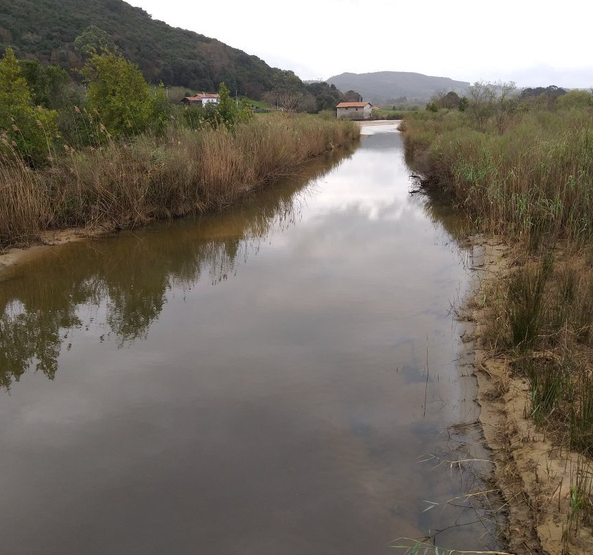 Parque natural de las Marismas de Santona景点图片