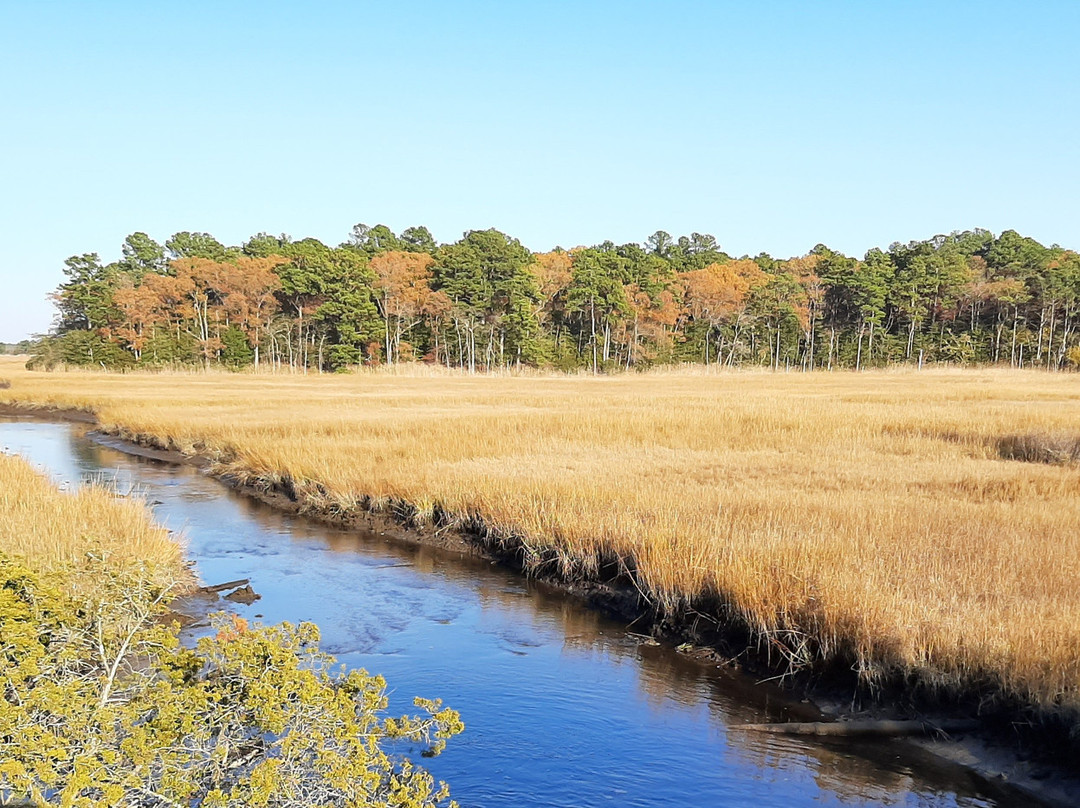 Junction and Breakwater Trail-里霍博斯比奇必去景点