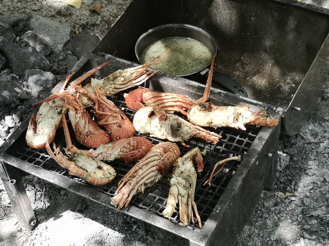 Vauclin Découverte-Le Vauclin必去景点