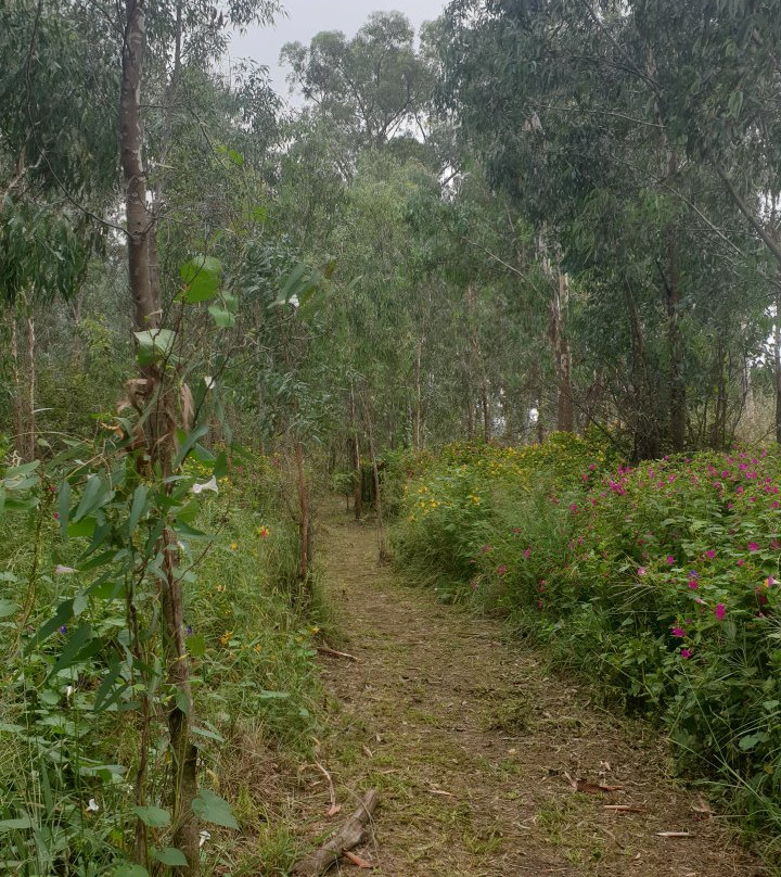 Modderfontein Reserve景点图片