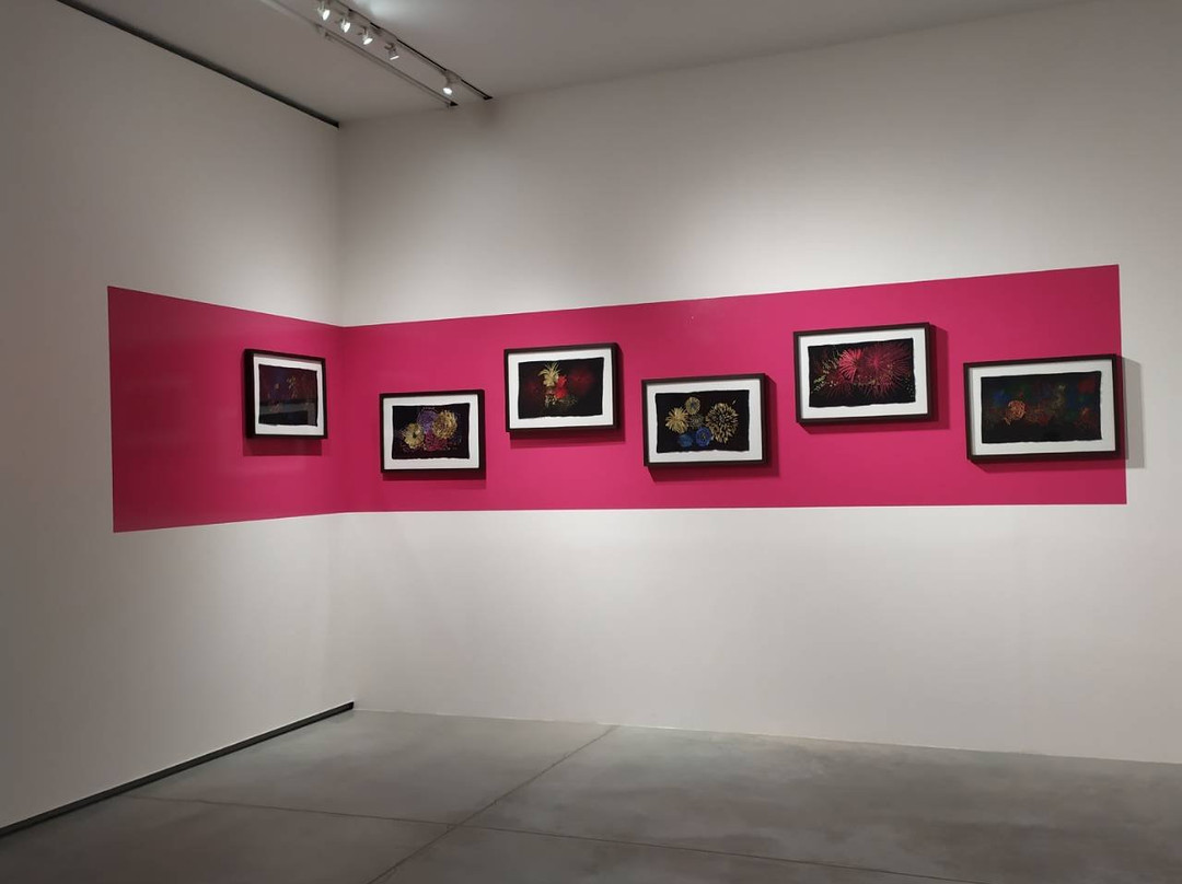 MAIIAM Contemporary Art Museum景点图片