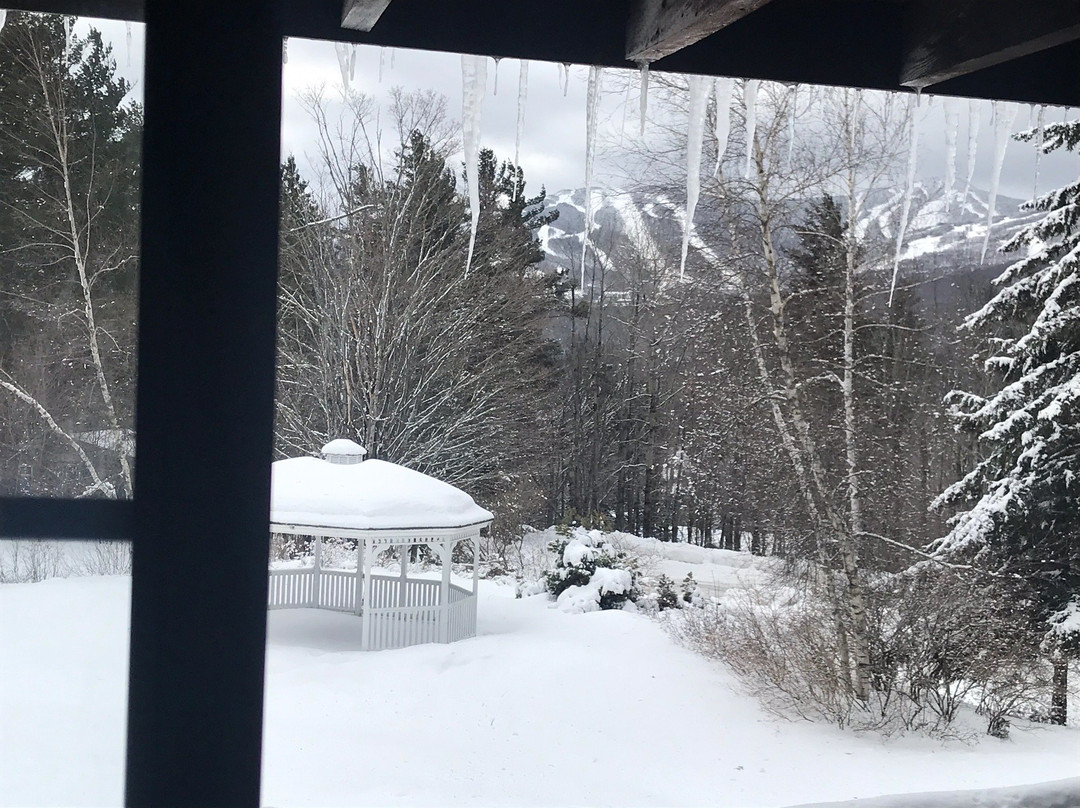 Summit Lodge & Resort主图