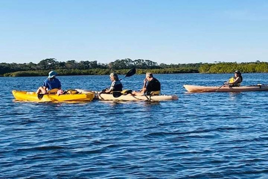 Daytona Beach Kayaking-新士麦那海滩必去景点