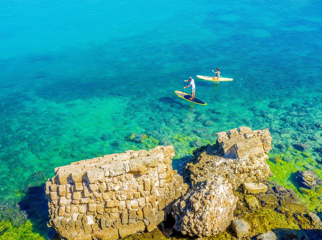 Noah Tours Ltd-Neve Ilan必去景点