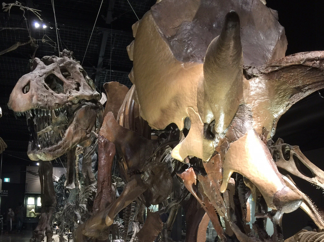 Mifune Dinosaur Museum景点图片